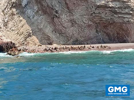 106_PARACAS