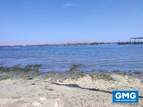 96_PARACAS