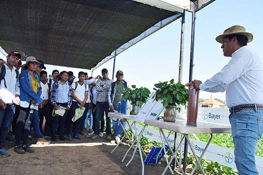 GENTEMOTIVANDOGENTE-BAYERAGRICULTURA-2