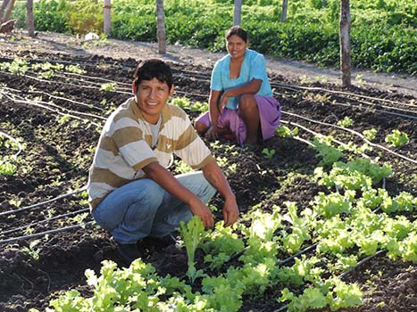 Impulsamos-el-programa-de-produccin-agricola-sostenible-programa-pais